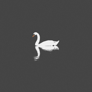 日本日逼性爰片
