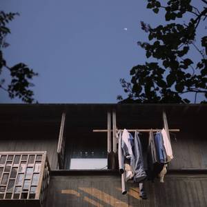 日本日逼性爰片
